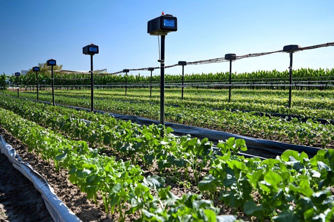 Smart Agriculture Firm Automates Field Monitoring with Custom Embedded ...